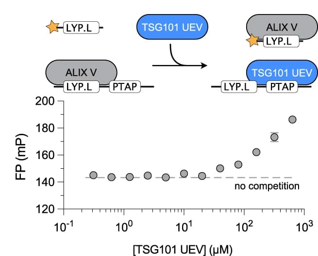 Open access visualization of Scatter Plot, Error Bars, Illustration, FP-monitored Displacement, Nsp4 118-142 (BAV)