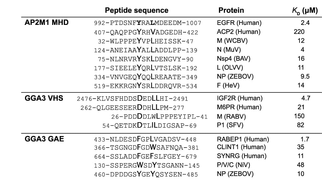 Open access visualization of Table Image, Affinity Data, Peptides, Clathrin Adapter Proteins