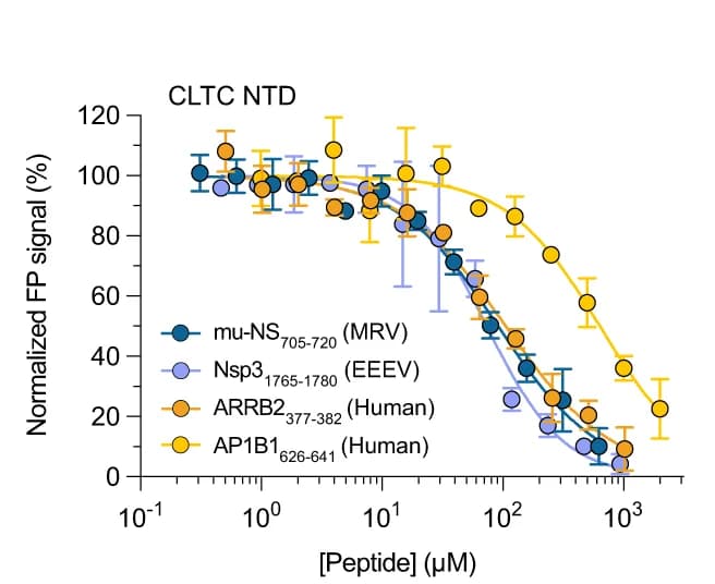 Open access visualization of Line Plot, Error Bars, Scatter Plot, FP-monitored Affinity Measurement, Viral Peptides