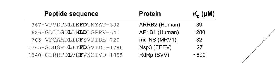Open access visualization of Table Image, Peptide Alignment, CLTC NTD, Affinities