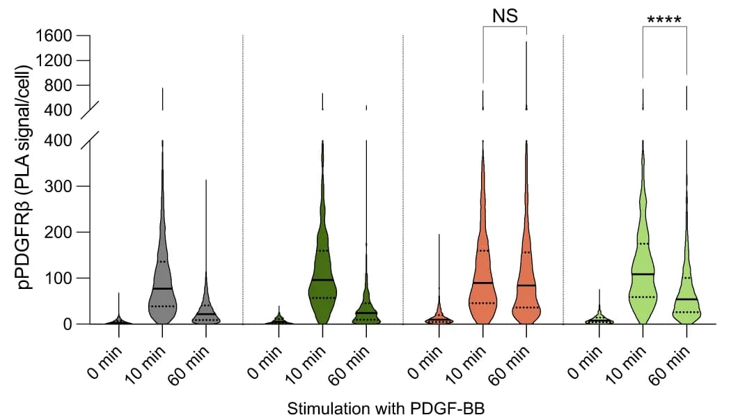 Open access visualization of Violin Plot, pPDGFRβ Activation, Nsp3(EEEV), HEK293-PDGFRβ-HA Cells, Proximity Ligation Assay
