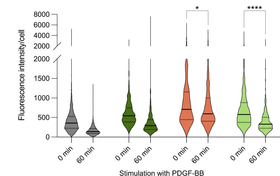 Open access visualization of Violin Plot, PDGFRβ Retention, Plasma Membrane, Cell Surface Fluorescence Assay, Fluorescence Intensity