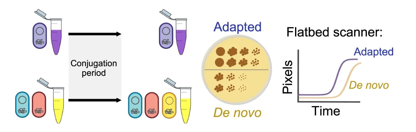 Open access visualization of Workflow, Illustration, Line Plot, Acquisition Cost, Protocol