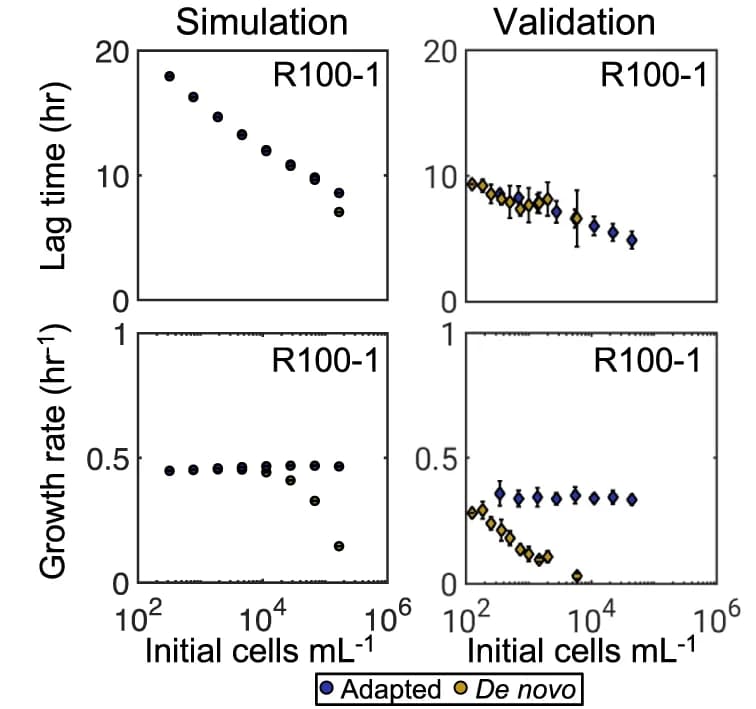Open access visualization of Scatter Plot, Error Bars, Simulation, R100-1, Lag Time