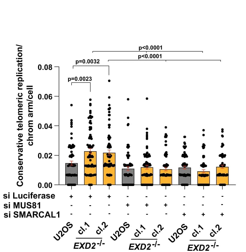 Open access visualization of Bar Plot, Error Bars, Scatter Plot, Conservative replication, U2OS cells