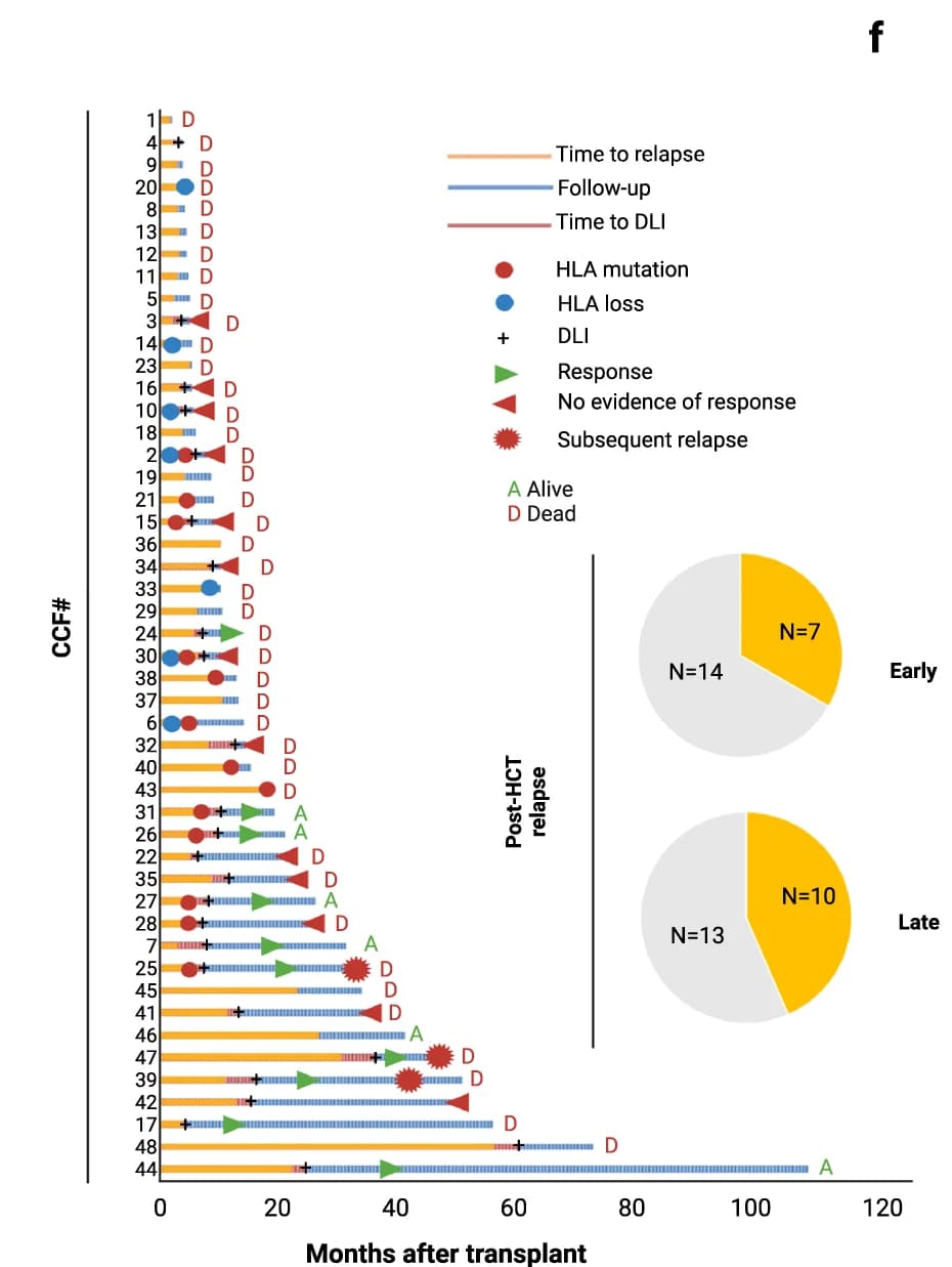 Open access visualization of Bar Plot, Pie Chart, Swimming Plot, Clinico-biological Information, Patient Cohort