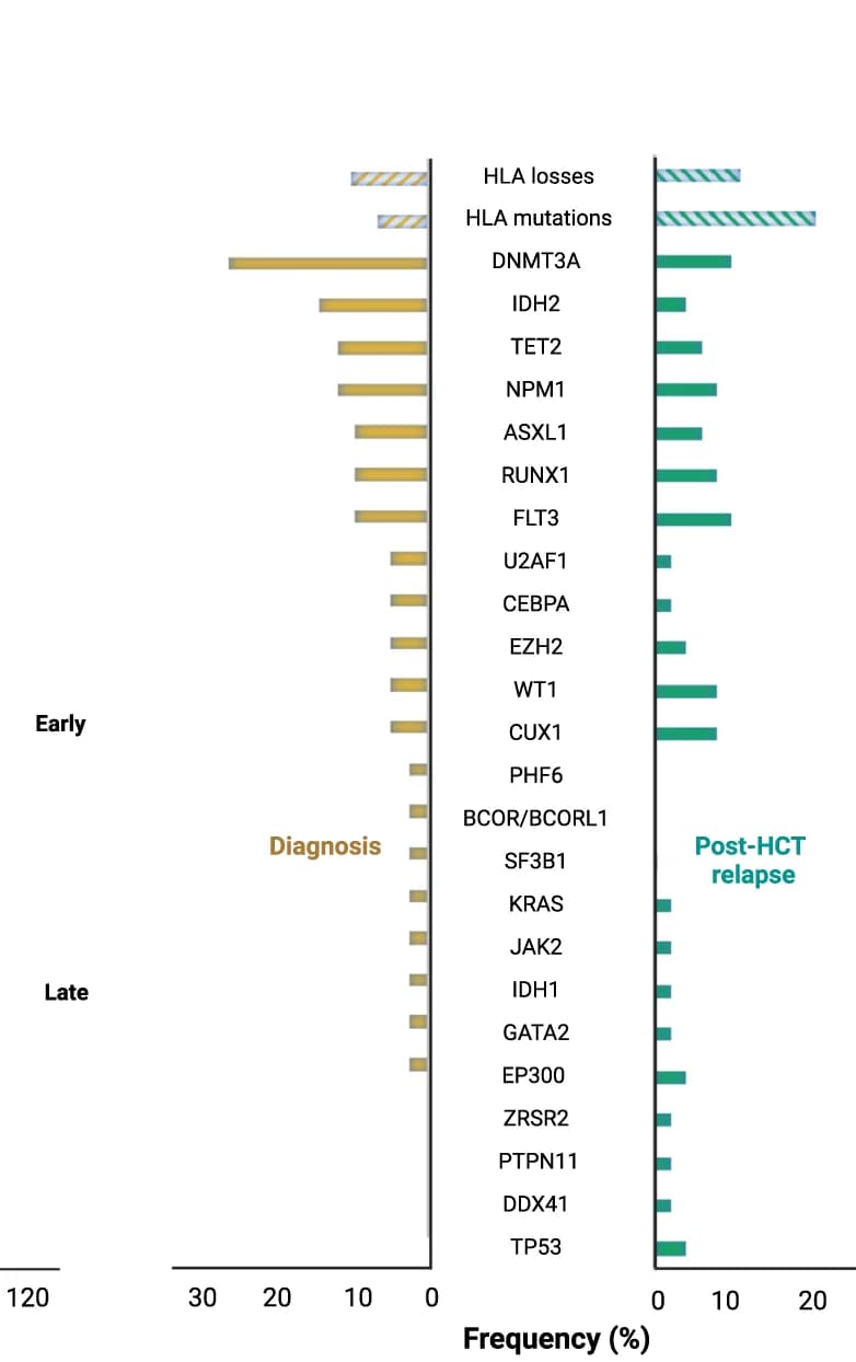 Open access visualization of Bar Plot, Clustered, Barplots, HLA Mutations, Losses