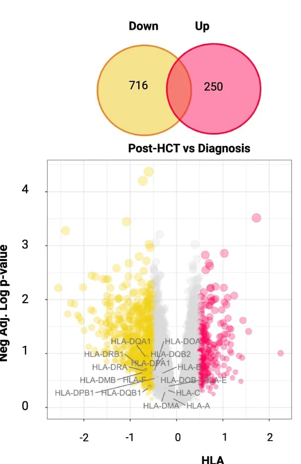 Open access visualization of Scatter Plot, Venn Diagram, Volcano Plot, Differential Gene Expression, Bulk RNA Samples