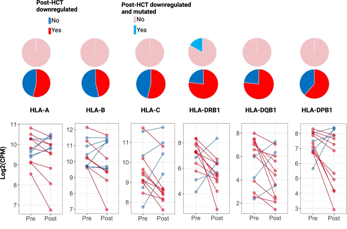 Open access visualization of Pie Chart, Line Plot, Scatter Plot, Line Charts, HLA Gene Expression