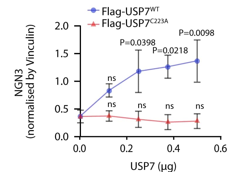 Open access visualization of Line Plot, Error Bars, Quantification, NGN3, Vinculin