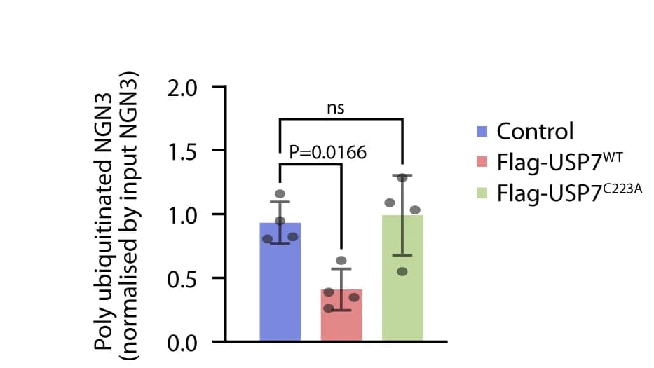 Open access visualization of Bar Plot, Error Bars, Quantification, Polyubiquitinated NGN3, Bar Graph