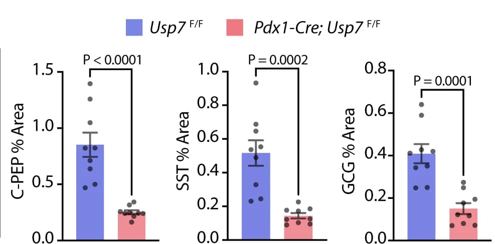 Open access visualization of Bar Plot, Error Bars, C-Peptide, Somatostatin, Glucagon