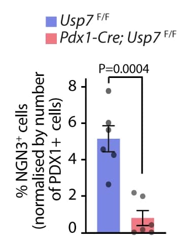 Open access visualization of Bar Plot, Error Bars, NGN3, PDX1, Usp7