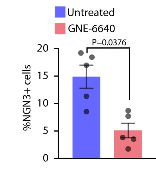 Open access visualization of Bar Plot, Error Bars, Scatter Plot, NGN3+ Cells, Quantification