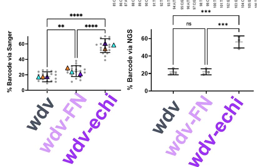 Open access visualization of Error Bars, Bar Plot, Sanger Sequencing, Next-Generation Sequencing, U251 Cells