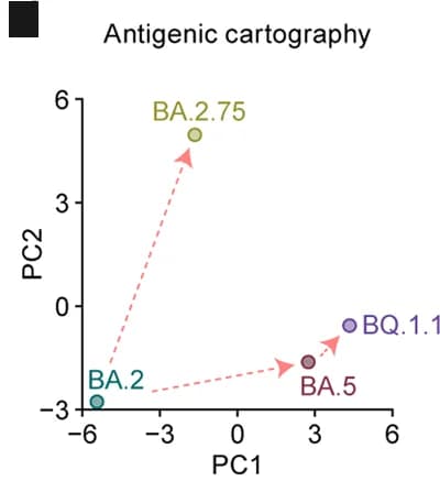 Open access visualization of Scatter Plot, PCA, Neutralization Assays, Pseudoviruses, S Proteins