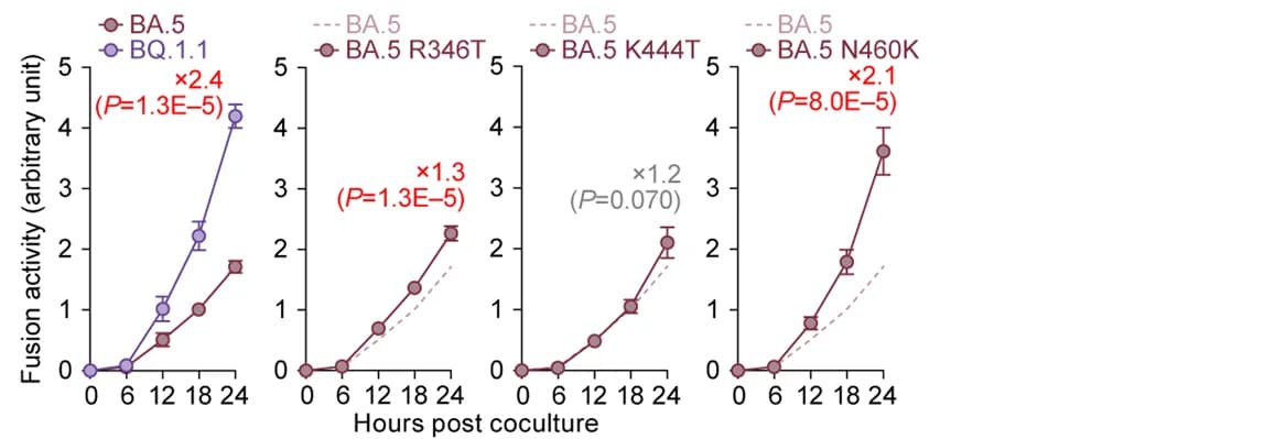 Open access visualization of Line Plot, Error Bars, S-Based Fusion Assay, Calu-3 Cells, Fusion Activity