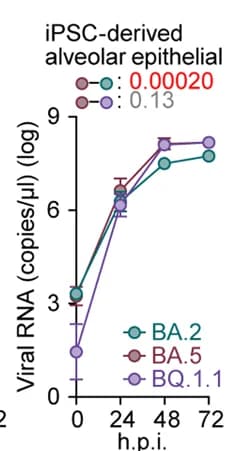 Open access visualization of Line Plot, Error Bars, Growth Kinetics, BQ.1.1, BA.2