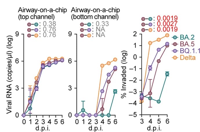 Open access visualization of Line Plot, Error Bars, Growth Kinetics, BQ.1.1, BA.2