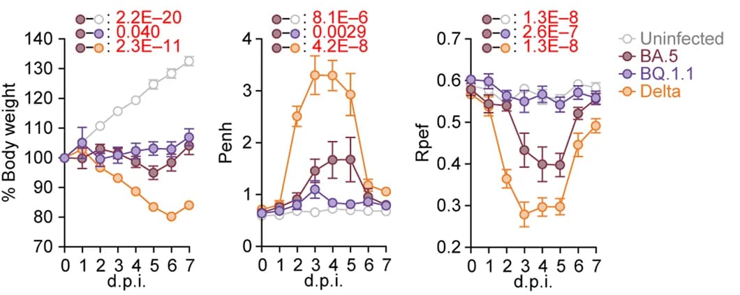 Open access visualization of Line Plot, Error Bars, Body Weight, Enhanced Pause, Expiratory Flow