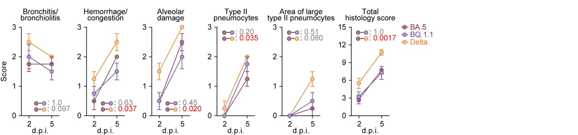 Open access visualization of Line Plot, Error Bars, Histopathology, Lung Lesions, Hamsters
