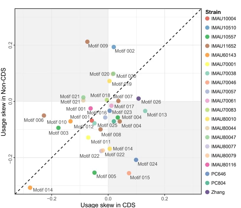 Open access visualization of Scatter Plot, Motif usage bias, Markov chain, Coding Sequences, Intergenic Regions