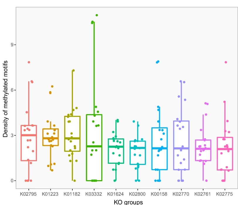 Open access visualization of Box Plot, Scatter Plot, Methylation Sites, Coding Sequences, Kyoto Encyclopedia of Genes and Genomes