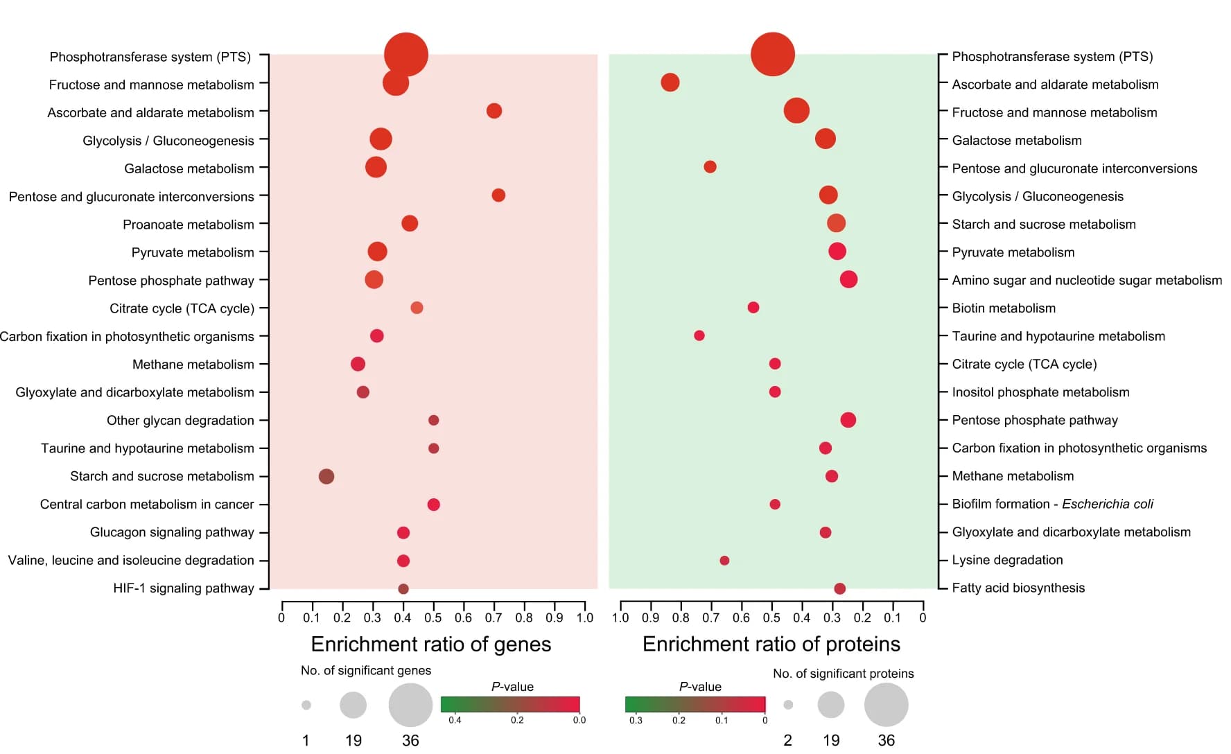 Open access visualization of Bubble Plot, KEGG Pathway Enrichment Analysis, DEGs, DEPs, Fisher’s Exact Test