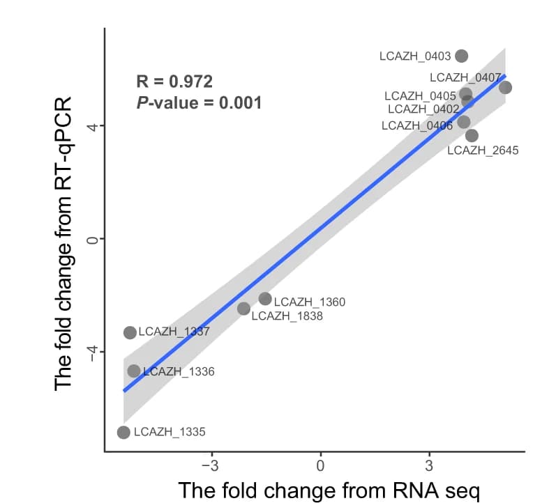 Open access visualization of Scatter Plot, Regression Plot, Pearson Correlation Analysis, RT-qPCR, RNA-seq