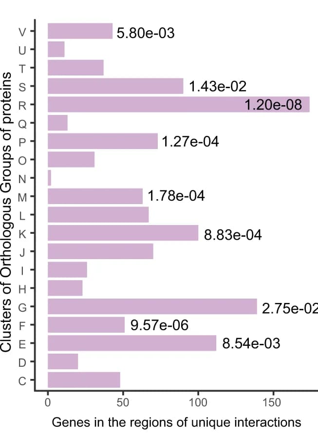Open access visualization of Bar Plot, Genes, Unique Interactions, Chromosomal Interaction Domains, Insulation Areas