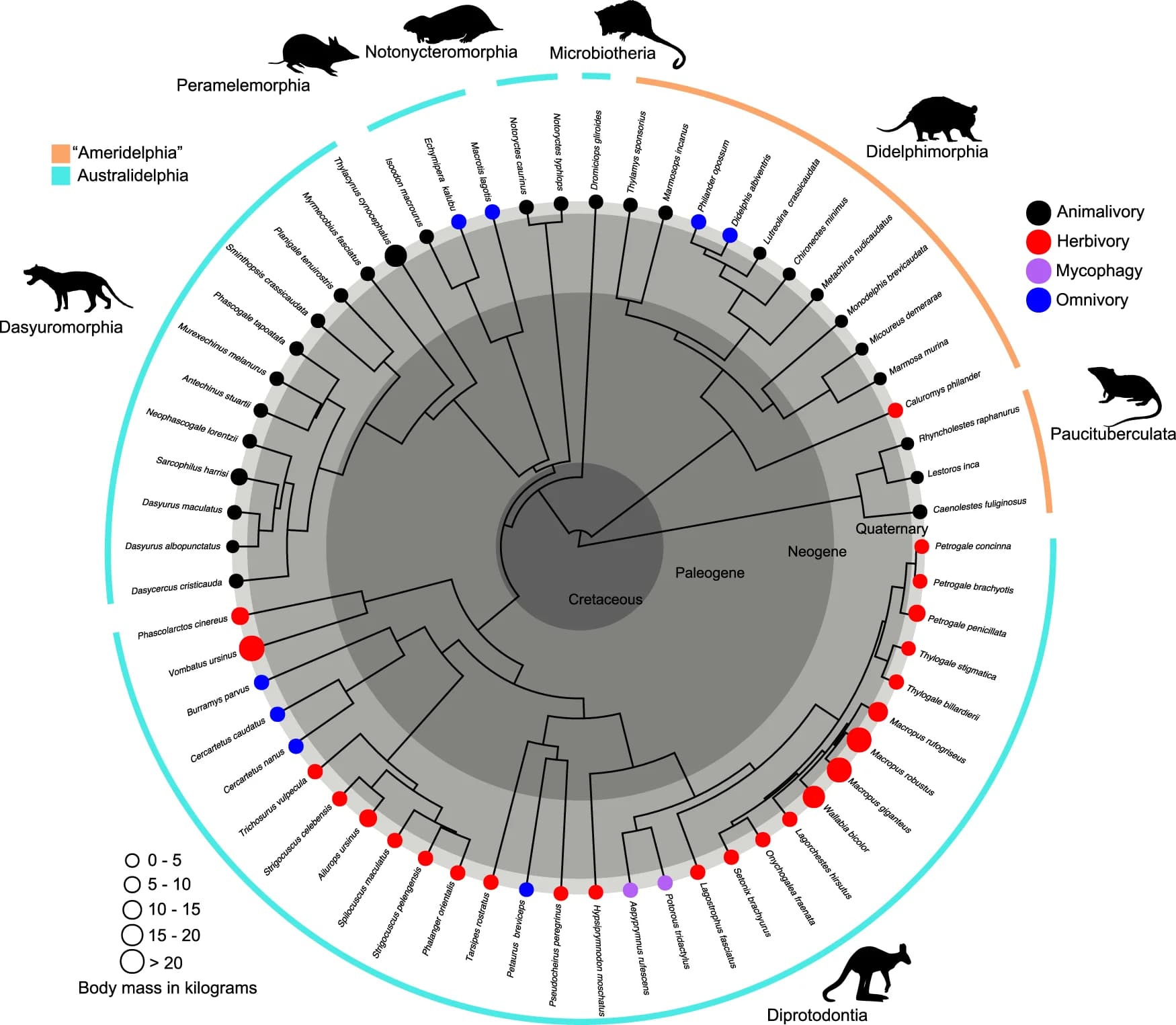Open access visualization of Scatter Plot, Network, Dietary Habits, Animalivory, Herbivory