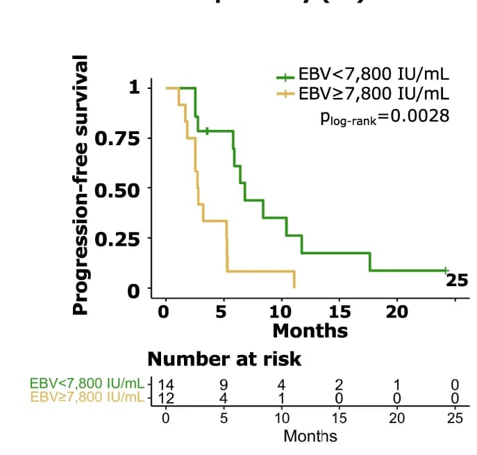 Open access visualization of Survival Curve, Line Step, Progression-Free Survival, EBV, Patients