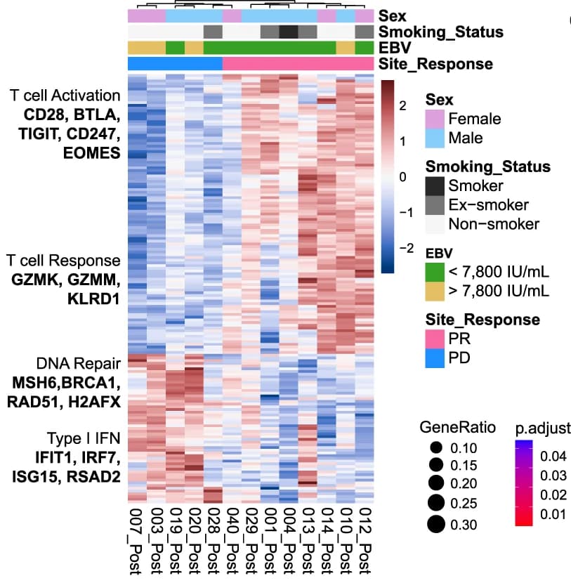 Open access visualization of Heatmap, Clustered, Key Genes, Differential Expression, Nanostring IO360