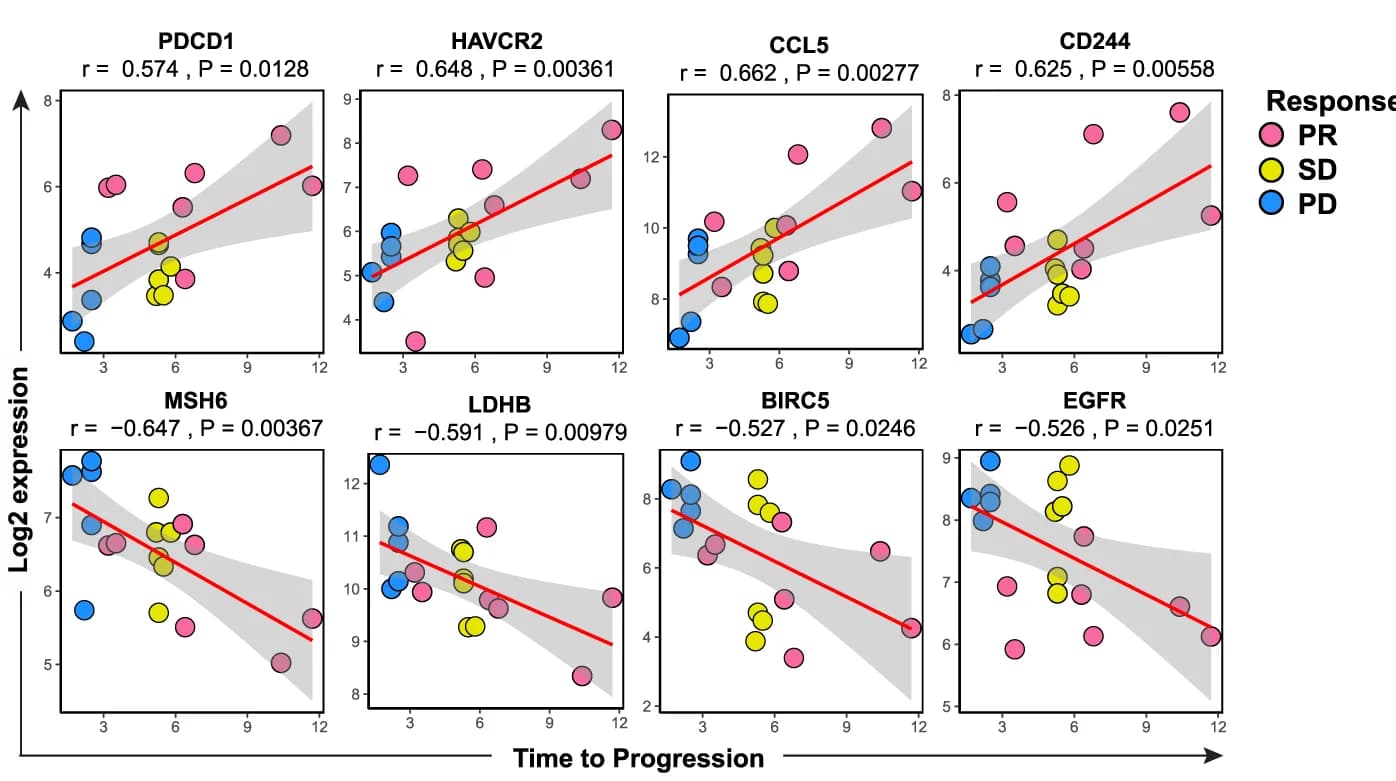 Open access visualization of Scatter Plot, Regression Plot, Time to Progression, Adaptive Immune Response, Proliferation