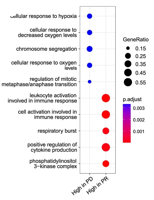Open access visualization of Scatter Plot, Bubble Plot, Volcano Plot, Enriched Pathways, Treatment Status