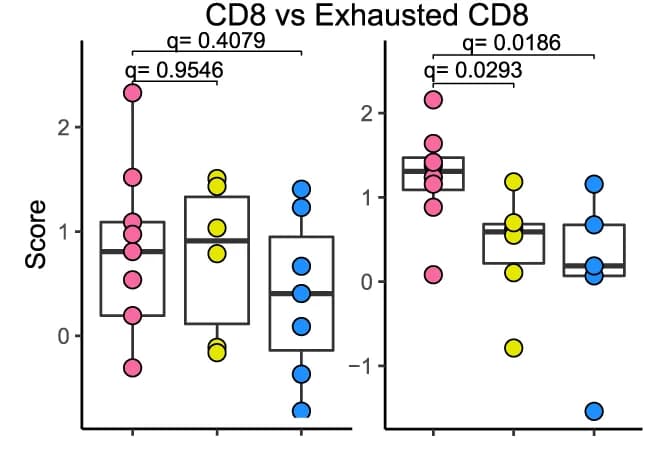Open access visualization of Box Plot, Scatter Plot, CD8, Exhausted CD8, Pre-treatment Samples