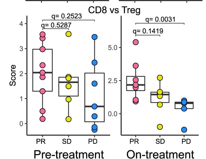 Open access visualization of Box Plot, Scatter Plot, CD8, Treg, Pre-treatment Samples