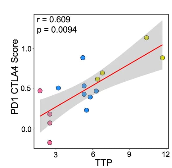 Open access visualization of Scatter Plot, Regression Plot, PD-1/CTLA-4 Score, TTP, Spearman Correlation