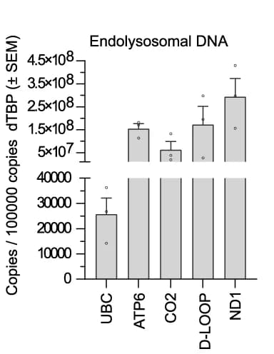Open access visualization of Bar Plot, Error Bars, Quantitative PCR, Mitochondrial mtDNA Genes, Nuclear UBC