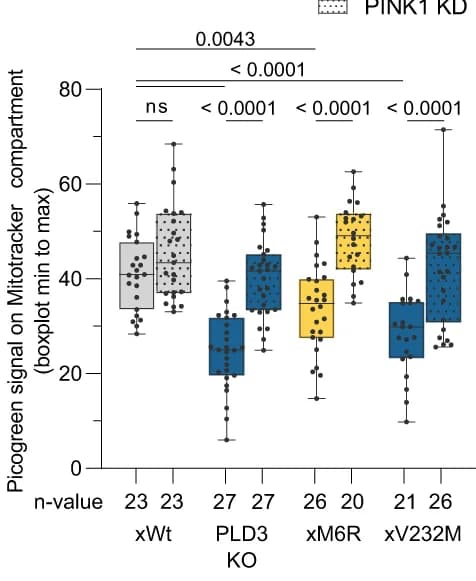 Open access visualization of Box Plot, Scatter Plot, Boxplots, Picogreen, Mitotracker Signal