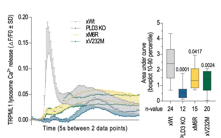 Open access visualization of Line Plot, Error Bars, Box Plot, Lysosomal Ca 2+ response, TRPML1 activator