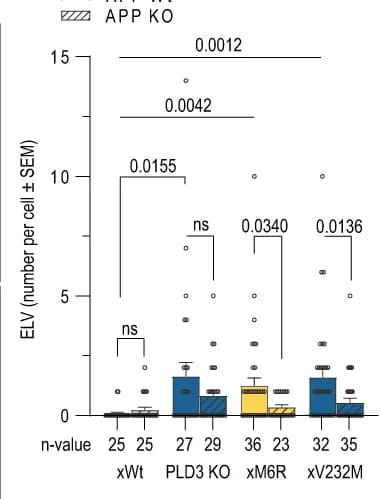 Open access visualization of Clustered, Error Bars, Electron-lucent vesicles, ELV, TEM Images
