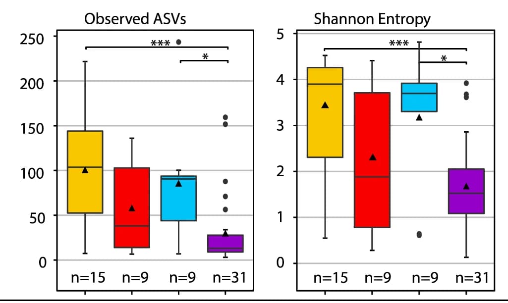 Open access visualization of Box Plot, Archaeal, Alpha Diversity, Groundwater, 16S rRNA gene