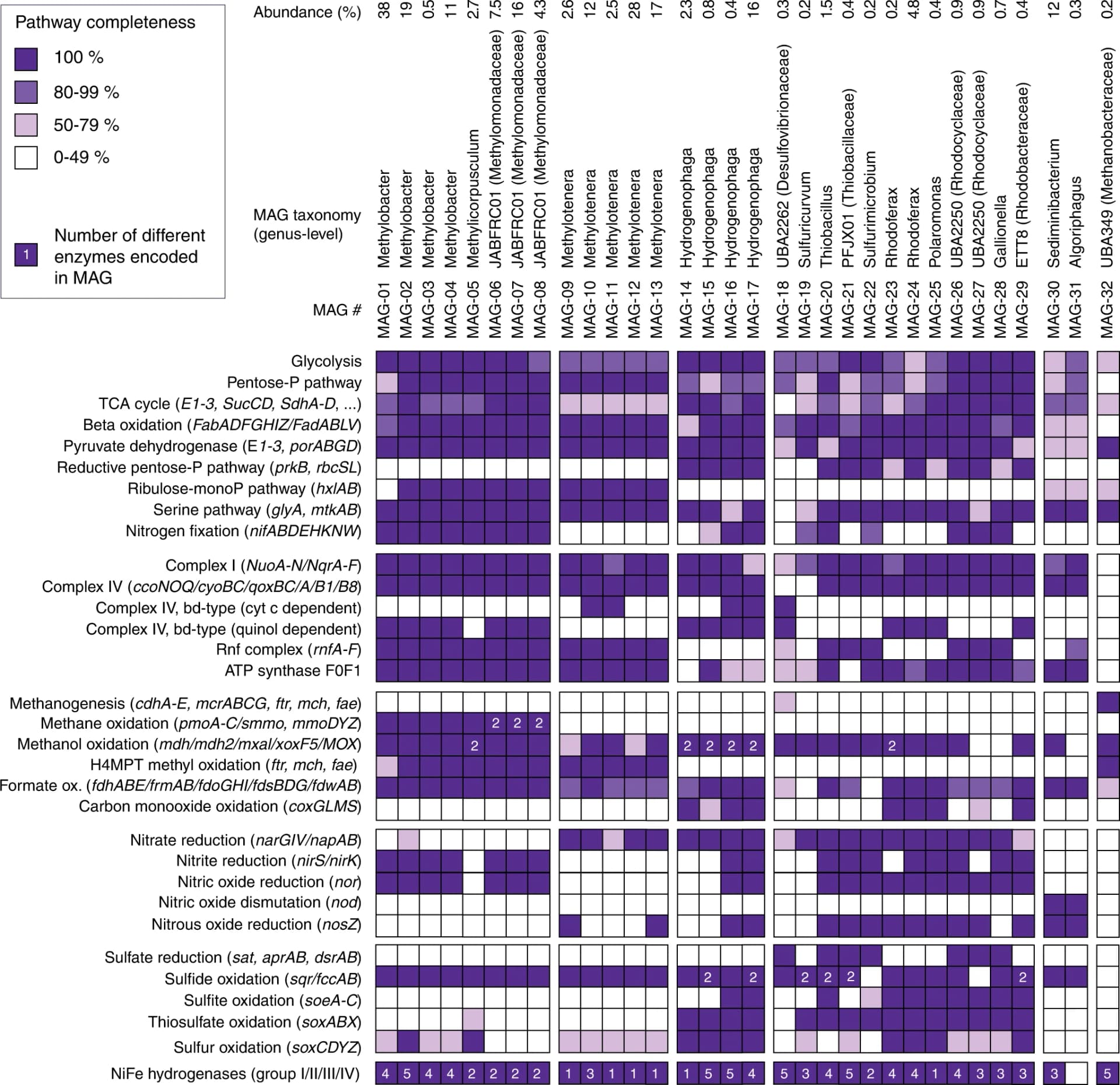 Open access visualization of Heatmap, Metagenome-Assembled Genomes, Microbial Populations, Groundwater, Methane Cycling