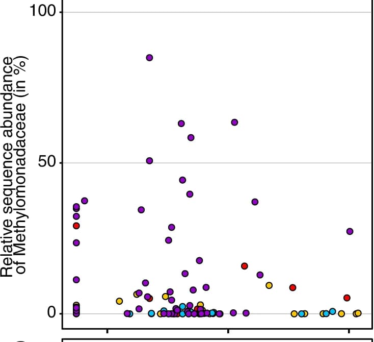 Open access visualization of Scatter Plot, Methylobacter, Methylotenera
