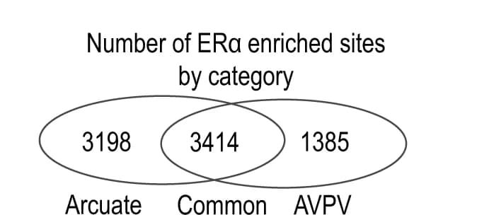 Open access visualization of Venn Diagram, ERalpha peaks