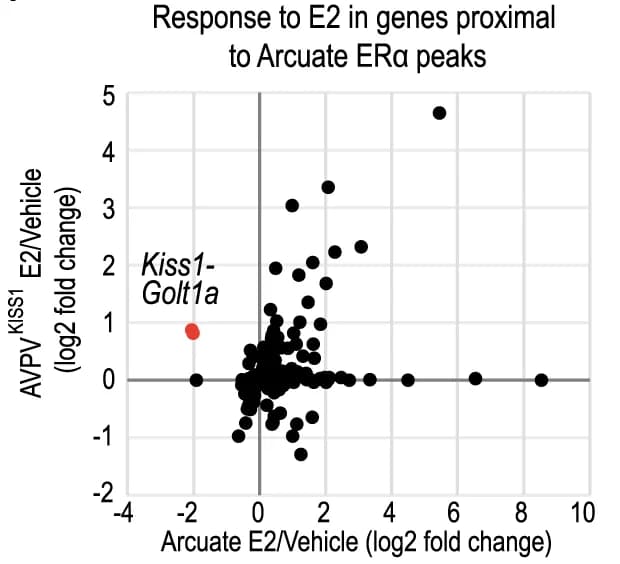 Open access visualization of Scatter Plot, Volcano Plot, ER Binding Sites, Estrogen, Arcuate Nucleus