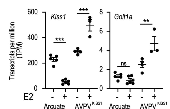 Open access visualization of Scatter Plot, Error Bars, Kiss1, Golt1a, Arcuate
