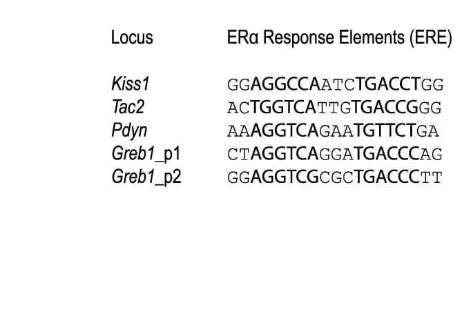 Open access visualization of Table Image, ERE Sequence, Greb1, Kiss1, Pdyn
