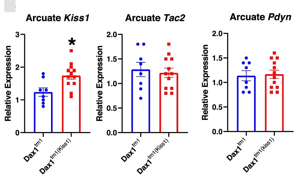 Open access visualization of Bar Plot, Error Bars, Scatter Plot, Kiss1, Tac2